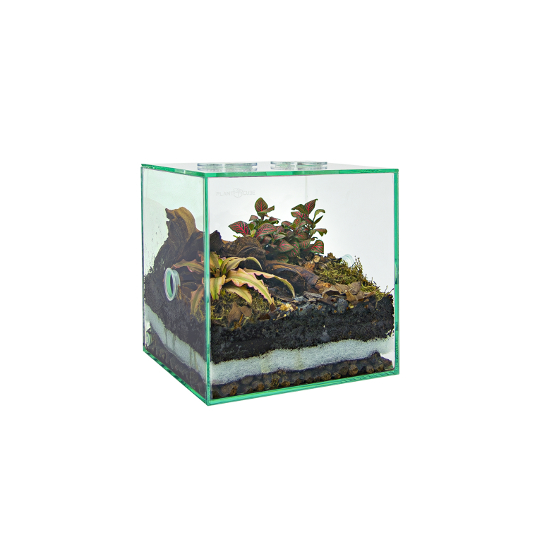 PLANTCUBE - Vivarium 20x20x20 Biom Bundle